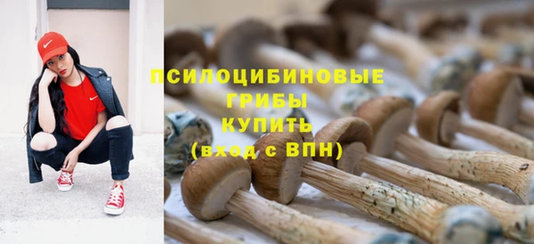 ГАЛЛЮЦИНОГЕННЫЕ ГРИБЫ Медвежьегорск