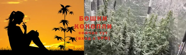 соль ск Мегион