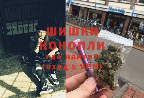 ГАЛЛЮЦИНОГЕННЫЕ ГРИБЫ Медвежьегорск