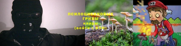 соль ск Мегион