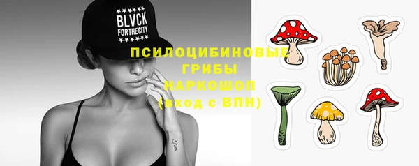 ГАЛЛЮЦИНОГЕННЫЕ ГРИБЫ Медвежьегорск