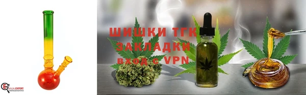ГАЛЛЮЦИНОГЕННЫЕ ГРИБЫ Медвежьегорск