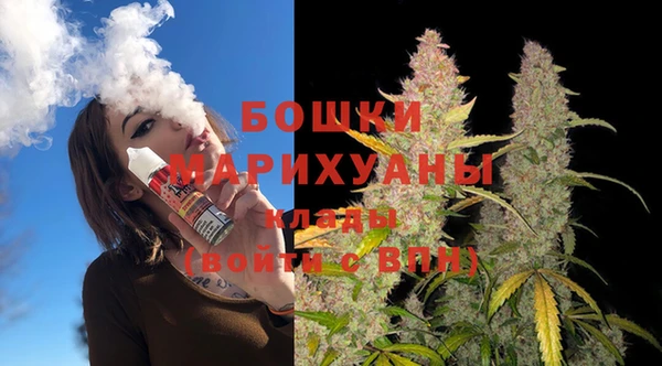 ГАЛЛЮЦИНОГЕННЫЕ ГРИБЫ Медвежьегорск
