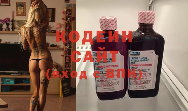 ГАЛЛЮЦИНОГЕННЫЕ ГРИБЫ Медвежьегорск